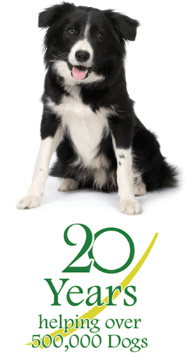 20 Year Anniversary