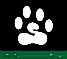 Video Player