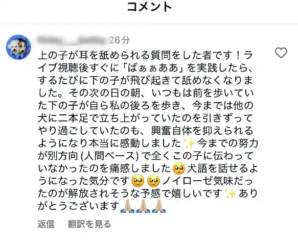 Instagram comment